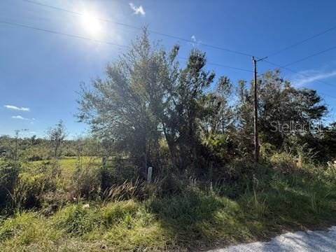 Listing photo 2 for Whippoorwill Ln, Wauchula FL 33873