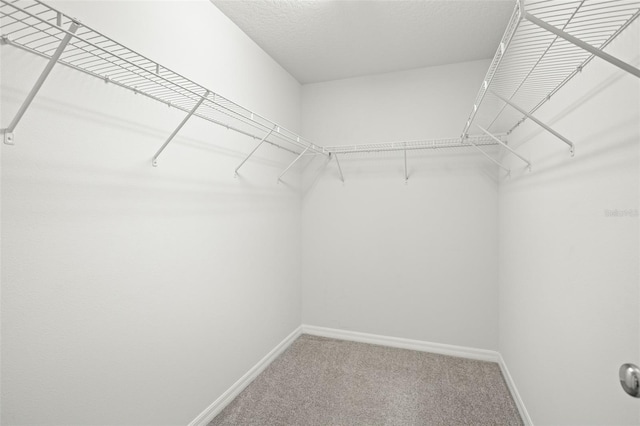 walk in closet featuring carpet floors