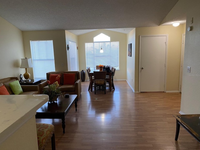 living room featuring hardwood / wood-style floors and a textured ceiling