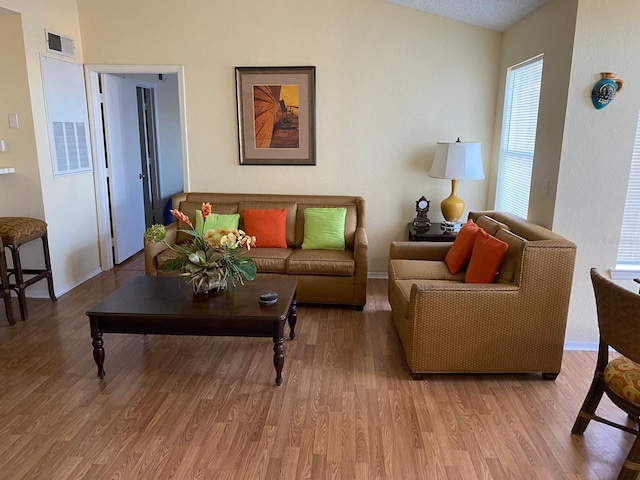 living room featuring lofted ceiling and wood-type flooring