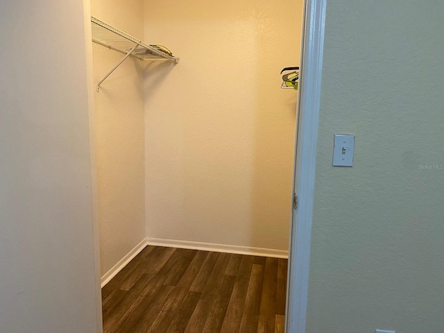 walk in closet featuring dark hardwood / wood-style floors