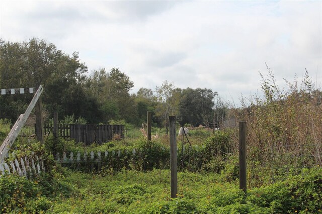 view of local wilderness