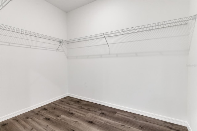 spacious closet with hardwood / wood-style flooring