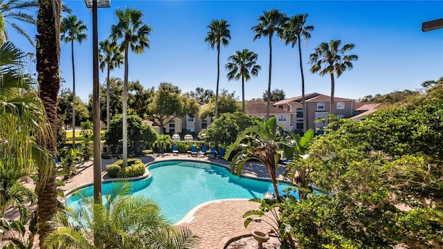 view of pool with a patio area