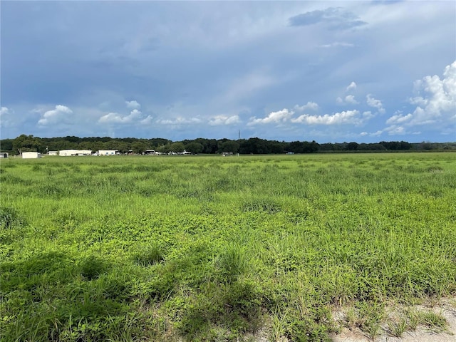 Listing photo 2 for Charles Osborne Rd, Umatilla FL 32784