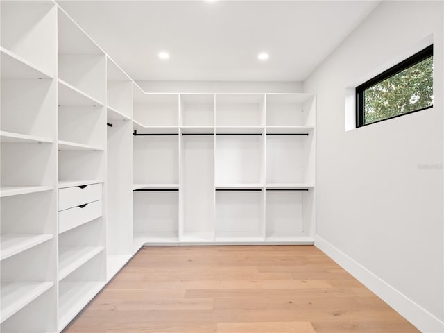 walk in closet featuring light hardwood / wood-style flooring