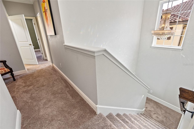 stairs featuring carpet flooring and plenty of natural light