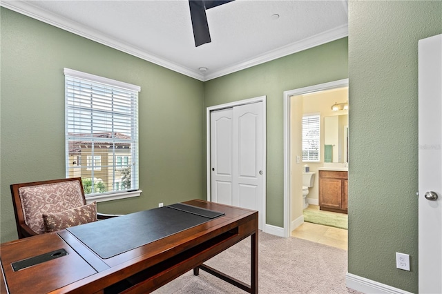 carpeted office space featuring ornamental molding