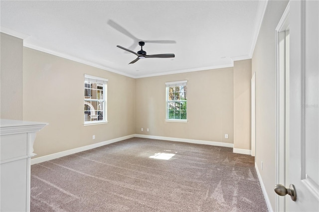 carpeted spare room with ceiling fan and ornamental molding