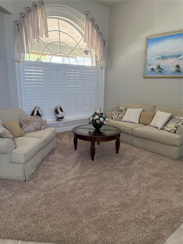 view of carpeted living room