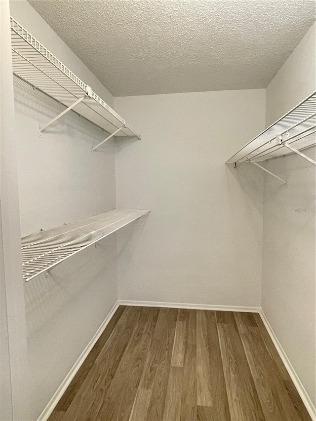 spacious closet with dark hardwood / wood-style flooring