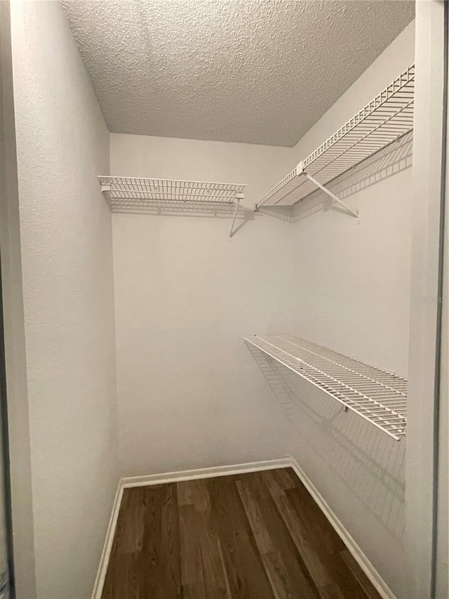 walk in closet with dark hardwood / wood-style floors