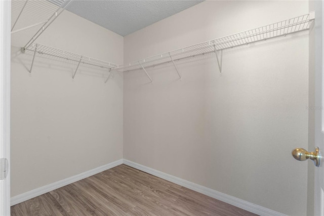 walk in closet with wood-type flooring