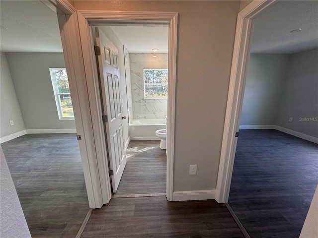 corridor featuring dark hardwood / wood-style floors and a wealth of natural light