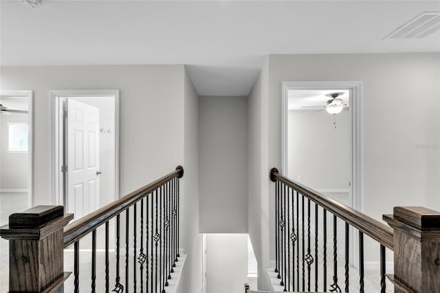 hallway featuring carpet flooring