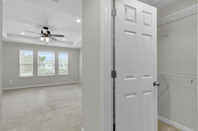 walk in closet featuring ceiling fan, light colored carpet, and a tray ceiling