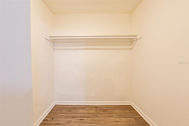 spacious closet featuring wood-type flooring