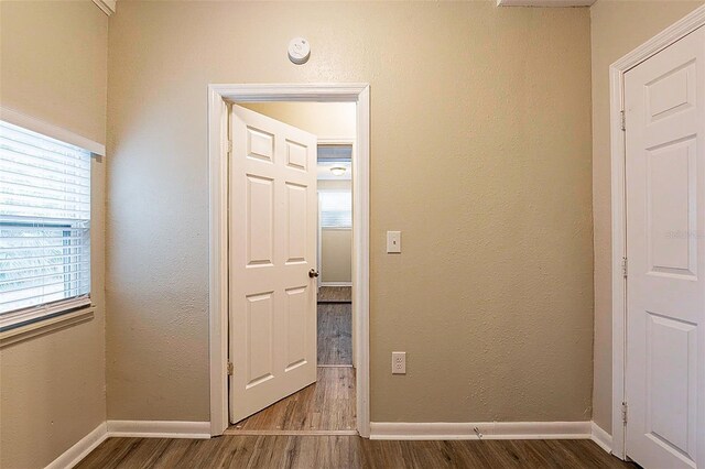 hallway featuring hardwood / wood-style flooring