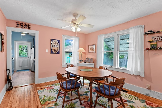 dining area with ceiling fan, light hardwood / wood-style floors, and a textured ceiling