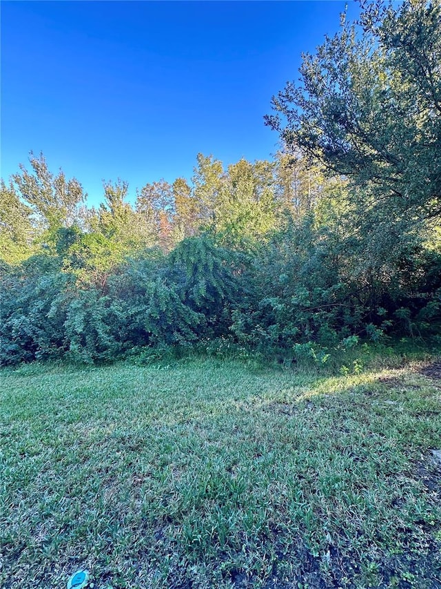 6430 S Goldenrod Rd Unit 15B, Orlando, FL 32822 - view of yard with a wooded view