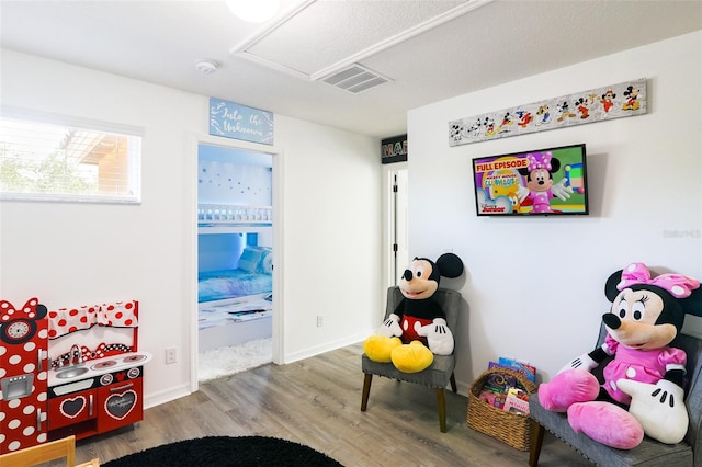 playroom with hardwood / wood-style floors