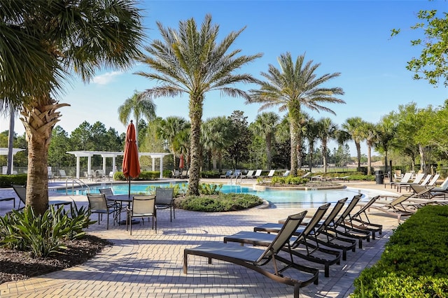 view of swimming pool with a patio