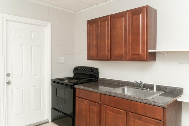 kitchen with black range with electric cooktop, ornamental molding, and sink