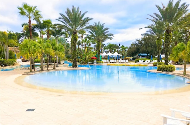 view of pool featuring a patio