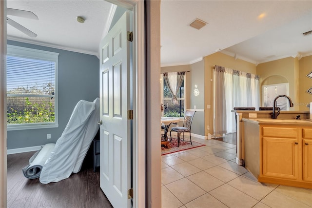 interior space featuring light hardwood / wood-style floors, ornamental molding, and sink