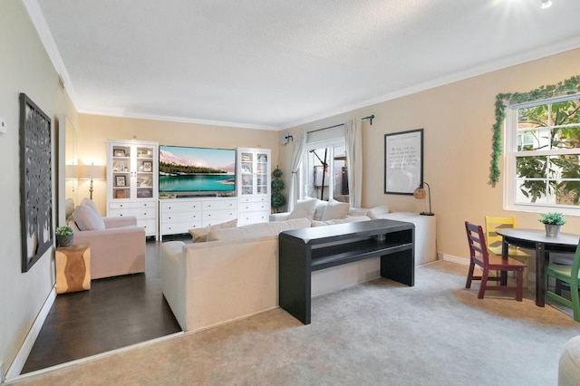 carpeted living room with crown molding, a textured ceiling, and a healthy amount of sunlight