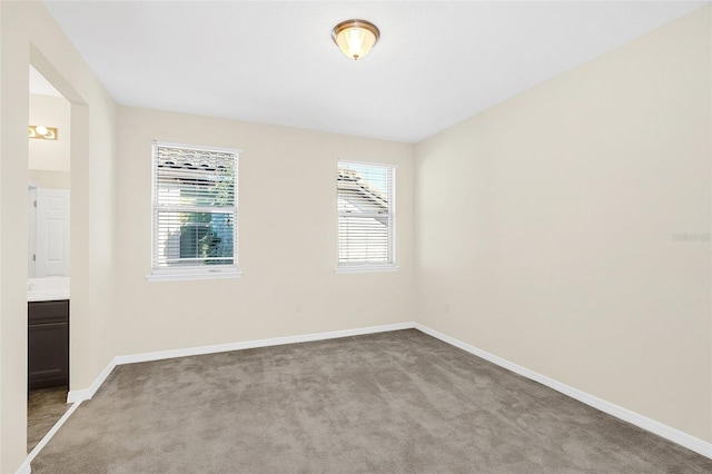 carpeted empty room with a wealth of natural light