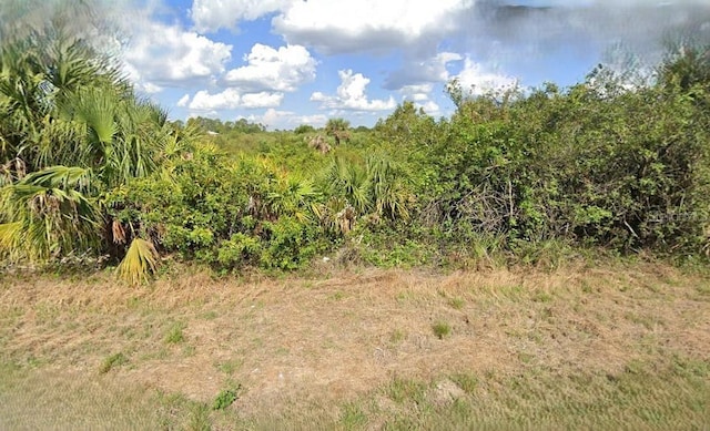 515 Palao Ave S, Lehigh Acres FL, 33974 land for sale