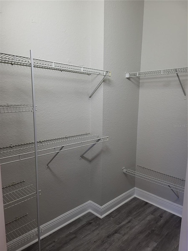 walk in closet featuring dark hardwood / wood-style floors