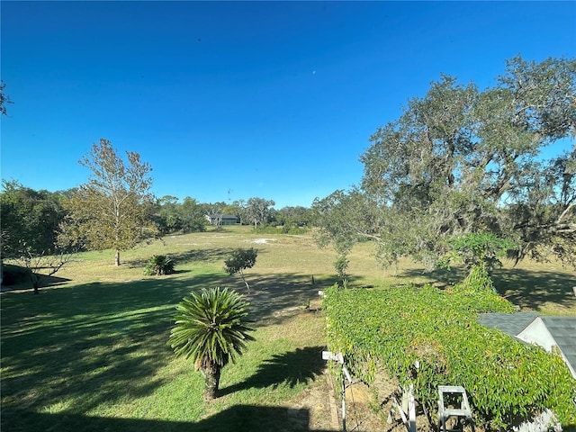 view of yard with a rural view