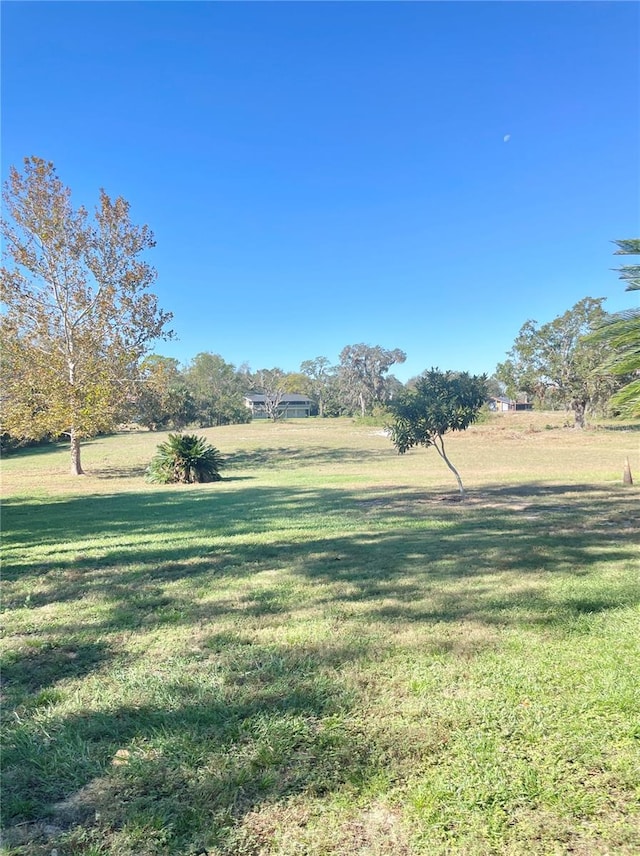 view of yard featuring a rural view