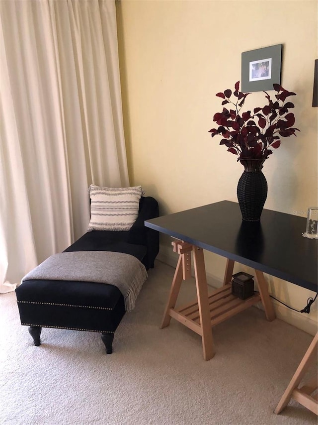 sitting room with carpet