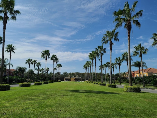 surrounding community featuring a lawn