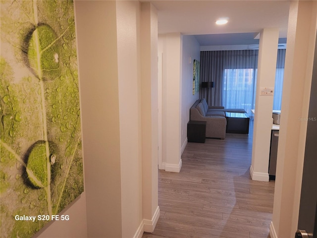 corridor featuring hardwood / wood-style floors