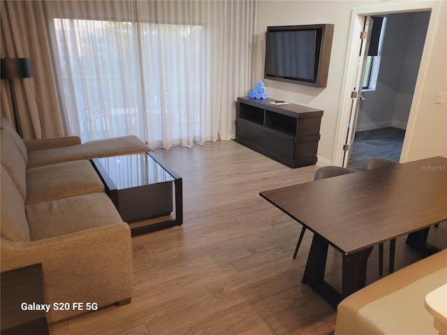 living room featuring light wood-type flooring