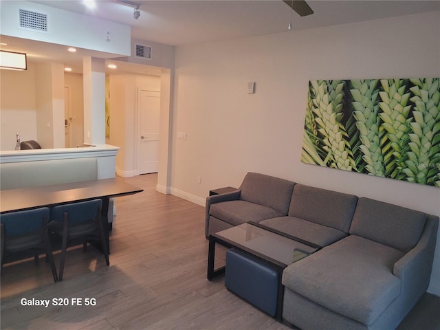 living room featuring wood-type flooring