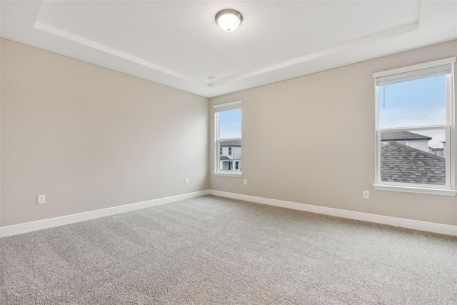 carpeted empty room featuring a raised ceiling