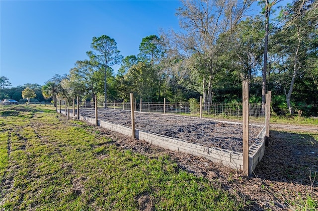 view of yard with a rural view