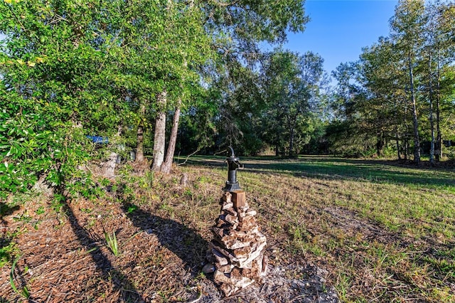4195 County Road 305, Bunnell, FL 32110 - photo 30