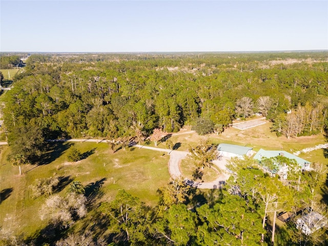 4195 County Road 305, Bunnell, FL 32110 - photo 33