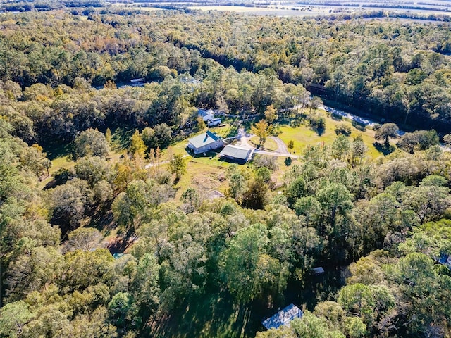 4195 County Road 305, Bunnell, FL 32110 - photo 38