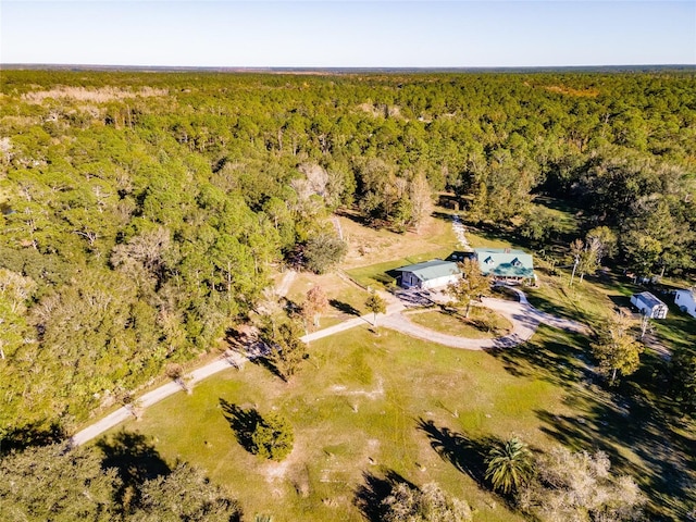 4195 County Road 305, Bunnell, FL 32110 - photo 42