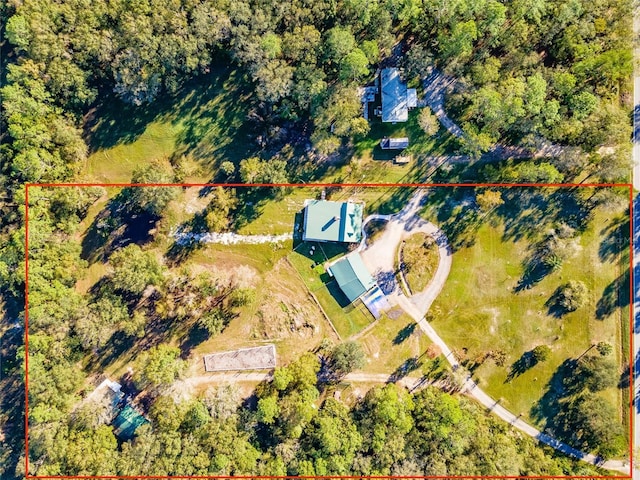 4195 County Road 305, Bunnell, FL 32110 - photo 44