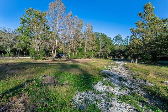 4195 County Road 305, Bunnell, FL 32110 - photo 53