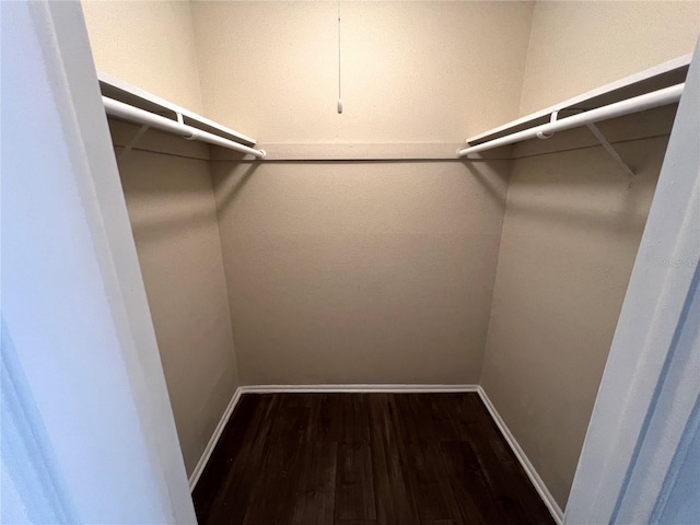 spacious closet with dark hardwood / wood-style floors