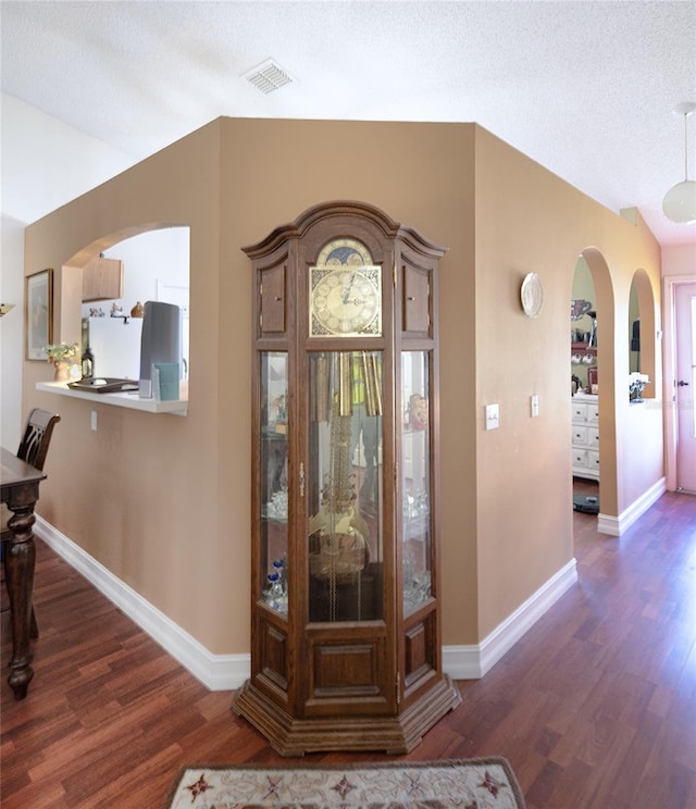 foyer entrance featuring lofted ceiling, a textured ceiling, and dark wood-type flooring